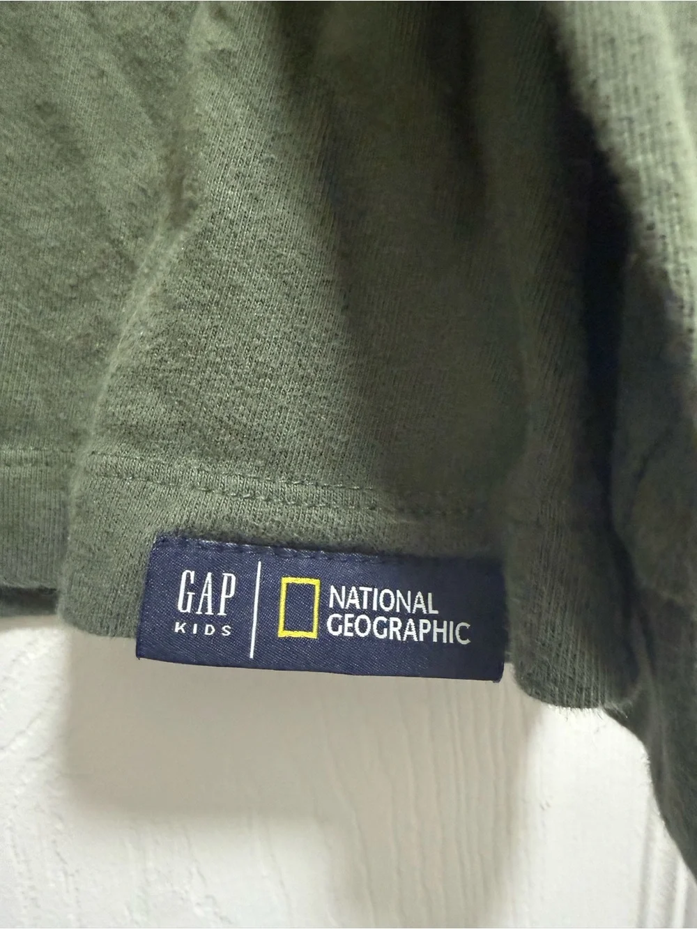 Gap Kids National Geographic Kids Olive Green Dinosaur Graphic Long Sleeve Tee